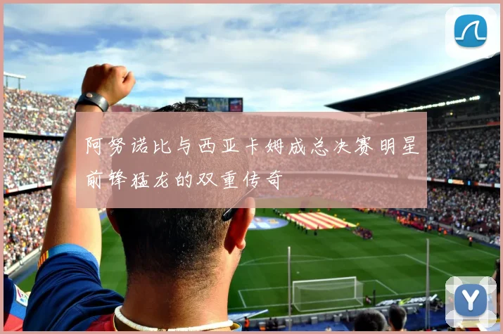 阿努诺比与西亚卡姆成总决赛明星前锋猛龙的双重传奇